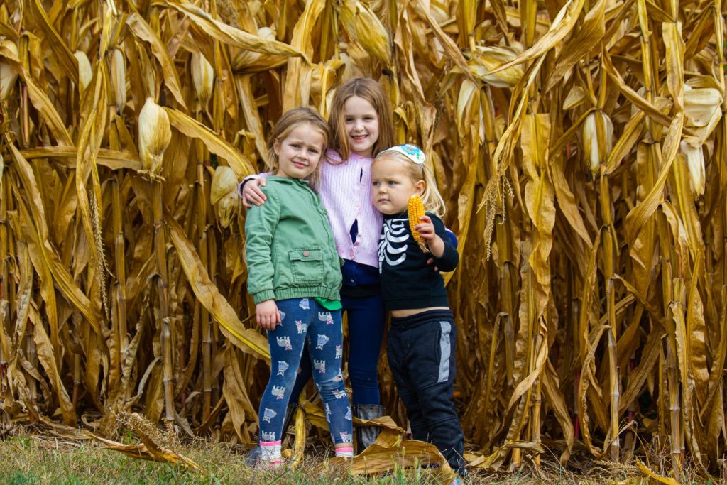 girls in corn field